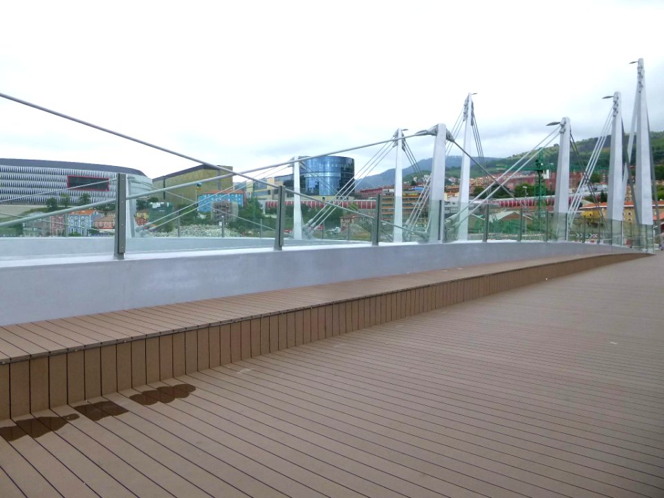 Bilbao - Puente Frank Gehry 4