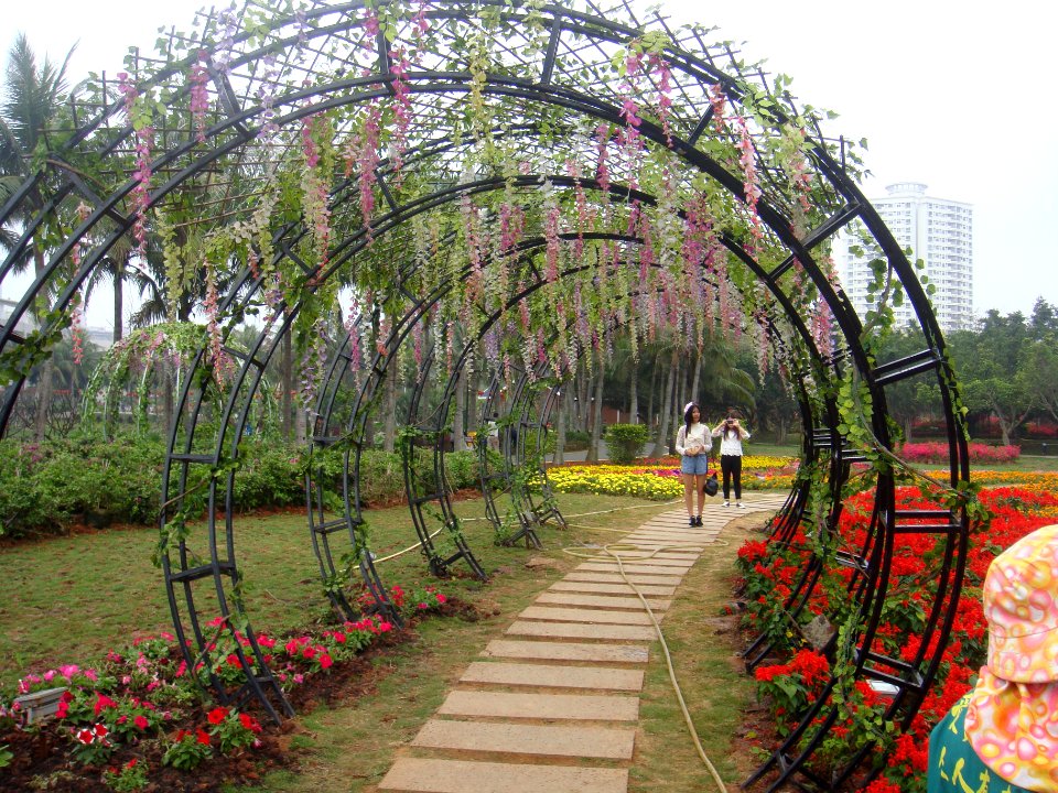 Binhai Park in 2016 03 - 04