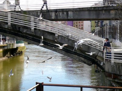 Bilbao - Puente de la Ribera 02