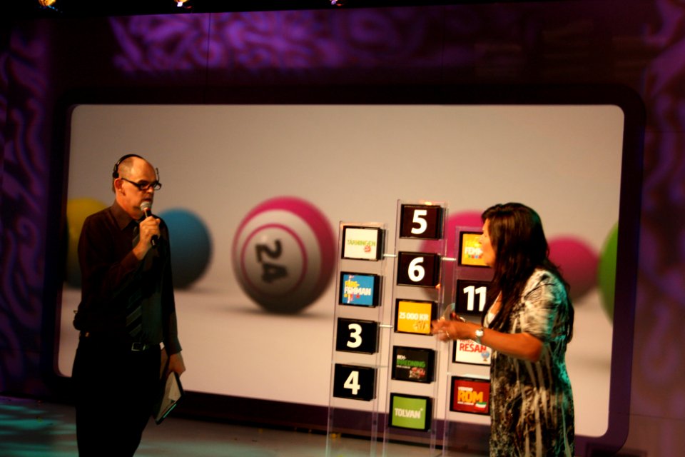 Bingolotto13