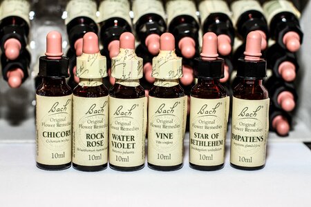 Bach remedies alternative medicine naturopathy photo