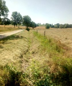 Binzenlöchlesgraben, im Binzenlöchle, Blick nach Süden