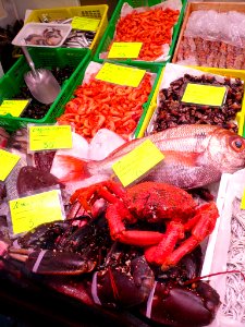 Bilbao - Pescaderías Vascas (Calle Astarloa) 2