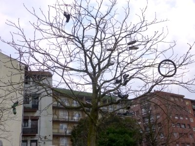 Bilbao - Parque Etxebarria 3