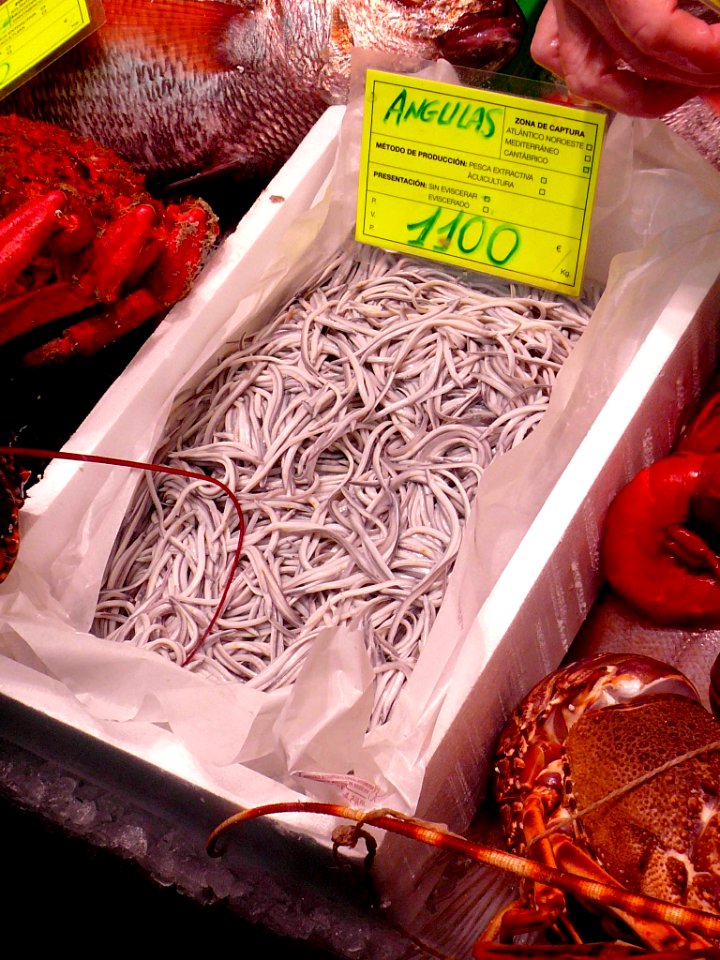 Bilbao - Pescaderías Vascas (angulas a 1.110 € el kilo, 30 diciembre 2019)