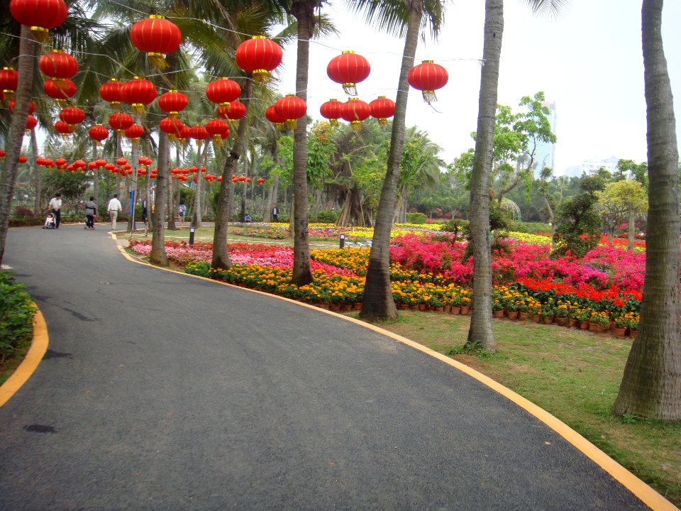 Binhai Park in 2016 03 - 01
