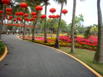 Binhai Park in 2016 03 - 01