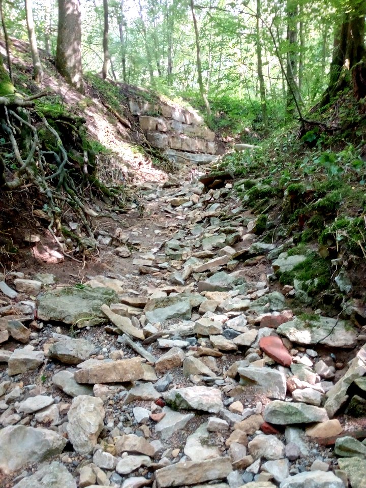 Binzenlöchlesgraben, Waldgebiet Hinterbach, Bachbett nach Unwetter