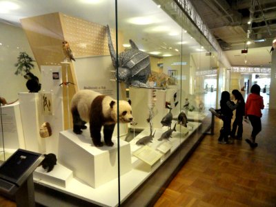 Biodiversity exhibit - Royal Ontario Museum - DSC00209