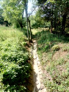 Binzenlöchlesgraben, Betongerinne im Binzenlöchle