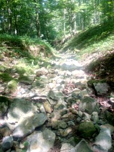 Binzenlöchlesgraben, im Muschelkalk