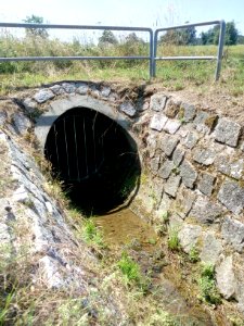 Binzenlöchlesgraben, Regenüberlauf Kanalisation Bauschlott