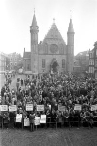 Binnenhof vol met demonstranten, Bestanddeelnr 925-4205