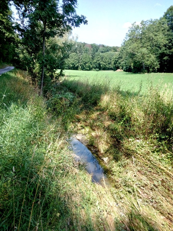 Binzenlöchllesgraben, Spuren eines Unwetters nördlich von Bauschlott