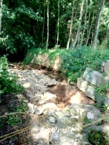 Binzenlöchlesgraben, unterhalb Binzenlöchle (2)