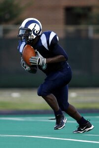 Pigskin gridiron football photo