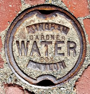 Bingham Gardner Water Box Taylor - Arlington, MA - 20200327 141453