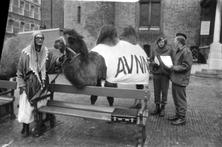 Binnenhof, protest VVDM en AVNM tegen gedwongen uitzending naar Libanon protest, Bestanddeelnr 930-1000