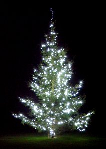 BiddenhamXmasTree