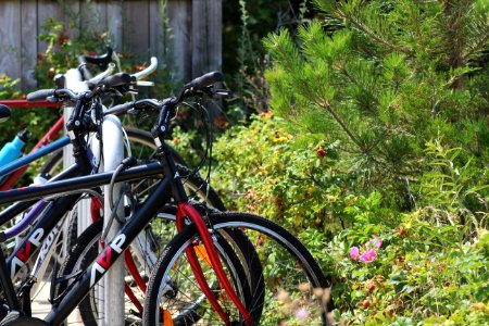 Bicycles in a rack