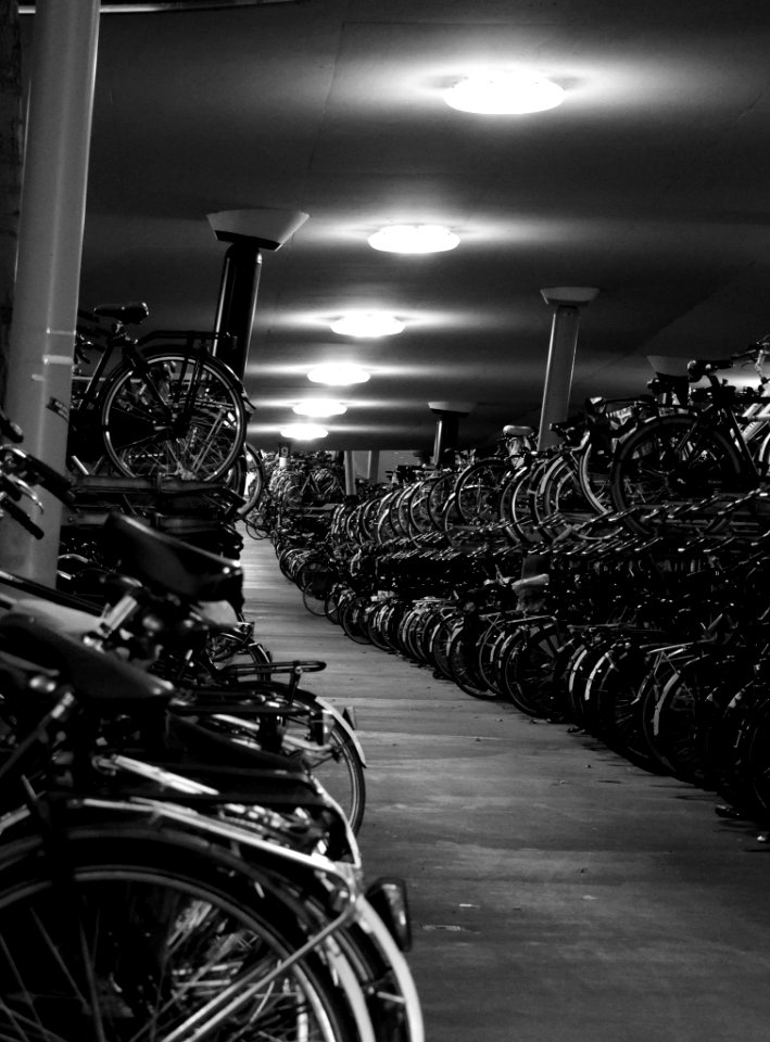 Bicycle Storage (220331655)