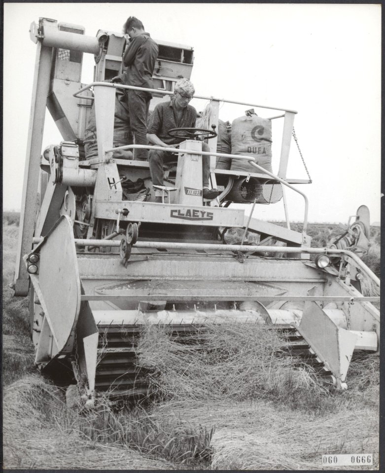 Binnenhalen van de vlasoogst, Bestanddeelnr 060-0666