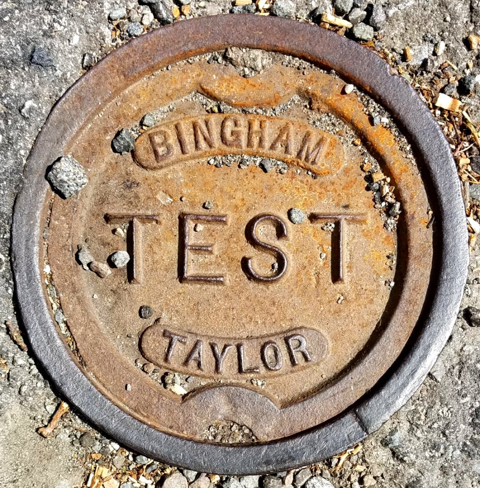 Bingham Test Taylor - Arlington, MA - 20200809 101115