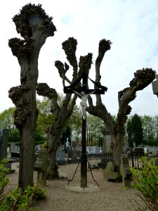 Bingelrade-Oude kerkhof-kruisen (8)