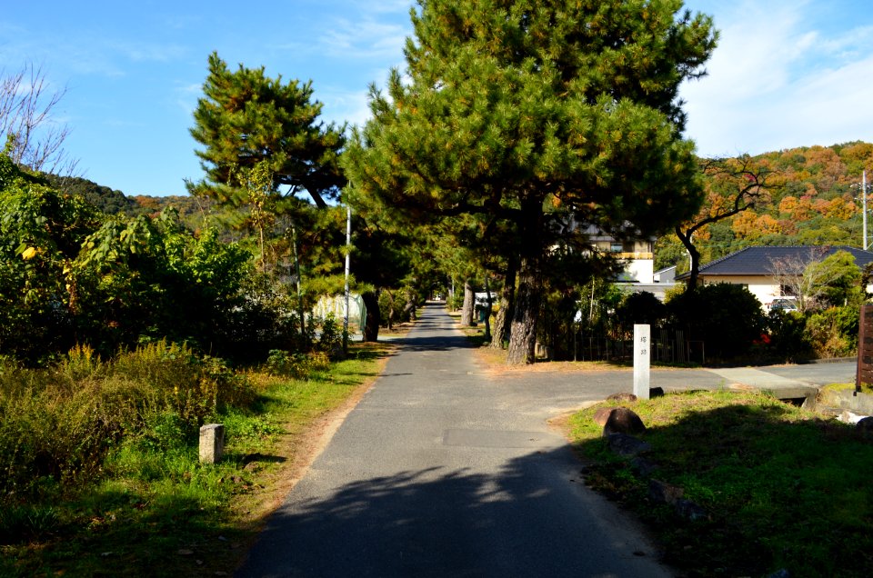 Bingo Kokubunji-ato, gaikan