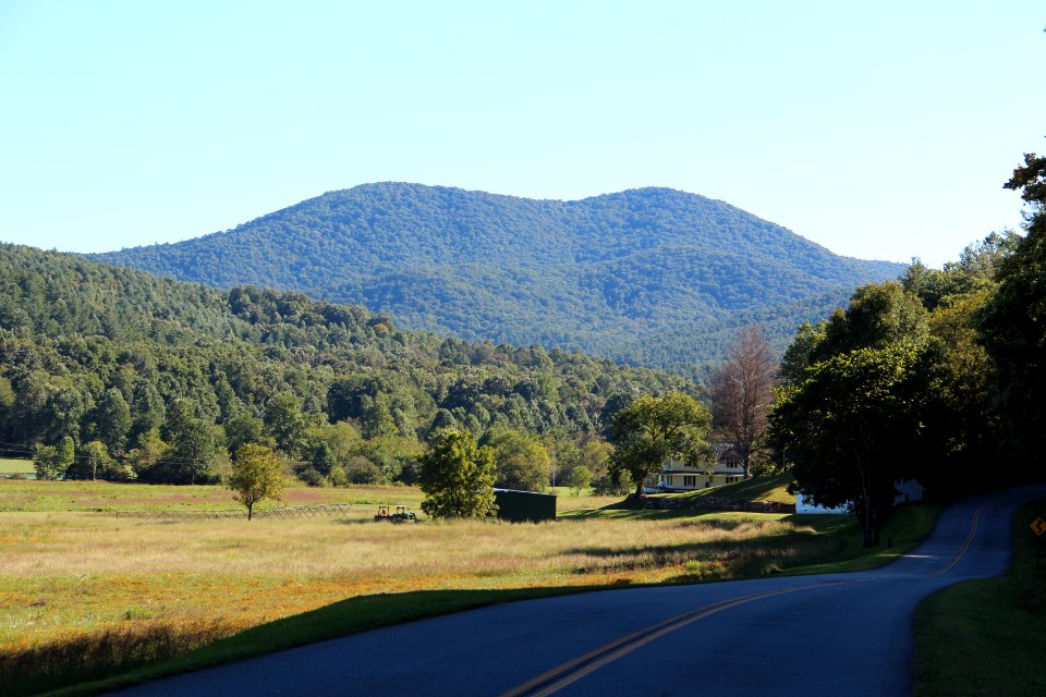 Big John Dick Mountain, Fannin County, Georgia