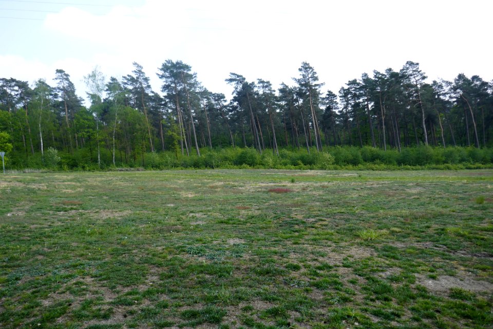 Bielefeld - NSG Behrendsgrund - 1