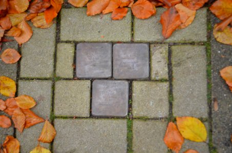 Bielefeld, Dornberger Straße 27, Stolpersteine