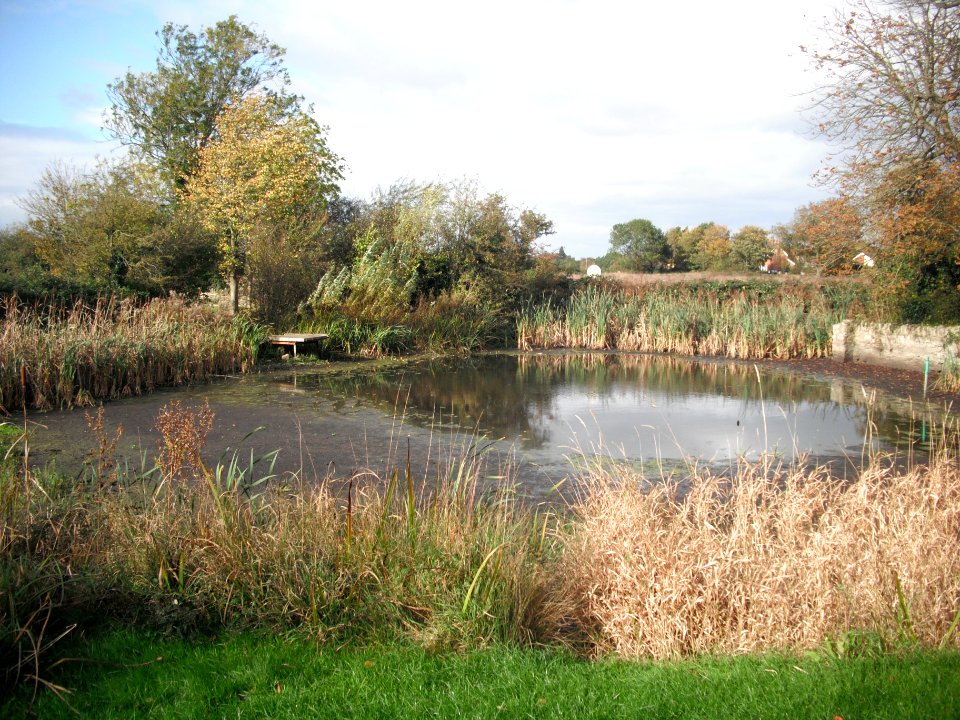 BiddenhamPond2