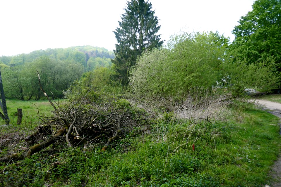 Bielefeld - NSG Markengrund - 18