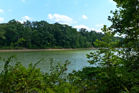 Big Pool on 14 mile Level looking from towpath