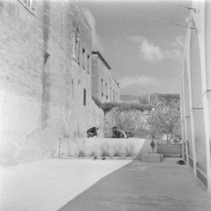 Biddende Arabieren in Nazareth bij een moskee op een plateau bij de plaats voor , Bestanddeelnr 255-1096