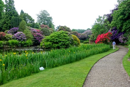 Biddulph Grange Garden - Staffordshire, England - DSC09112