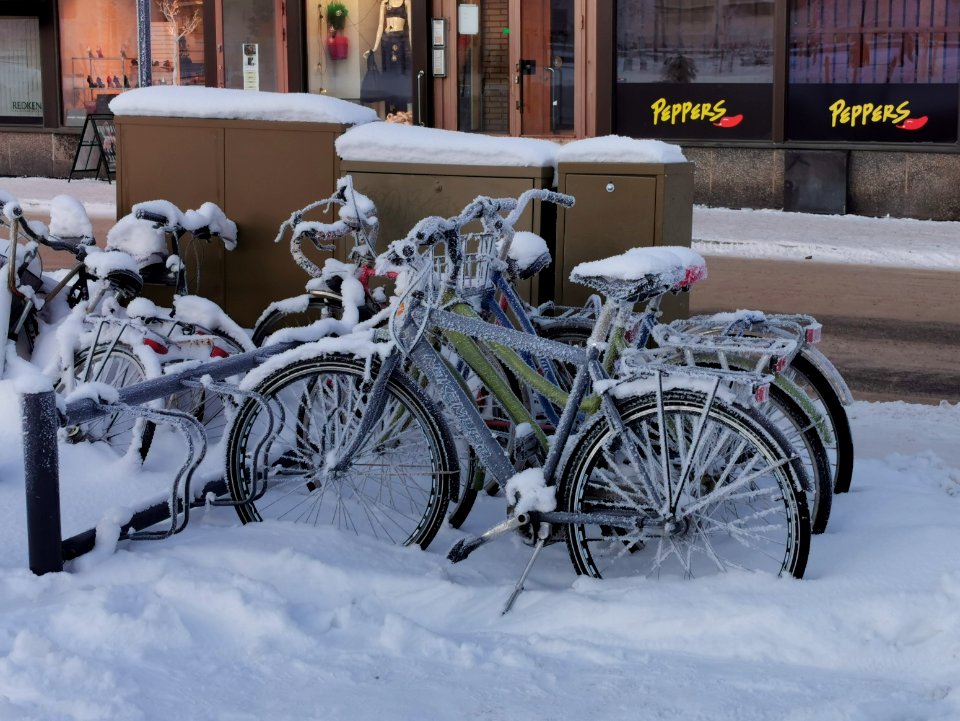Bicycles Mannerheim Park Oulu 20210209