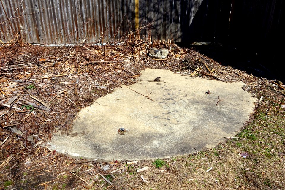 Big lid - Arlington, MA - DSC09881