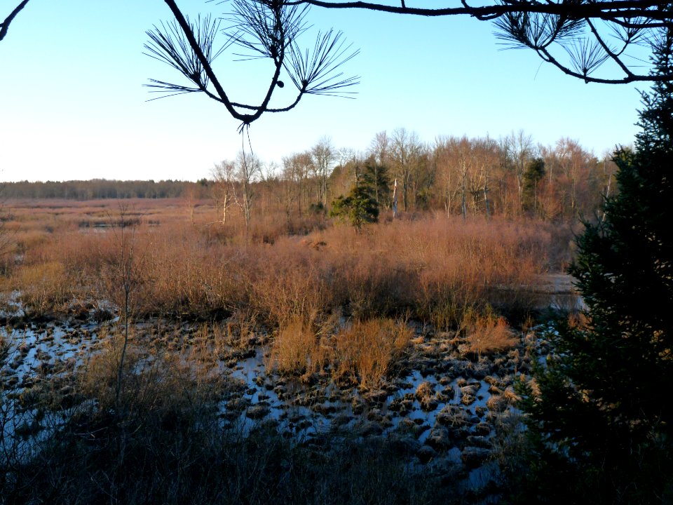 Big Indian Farms Marshes