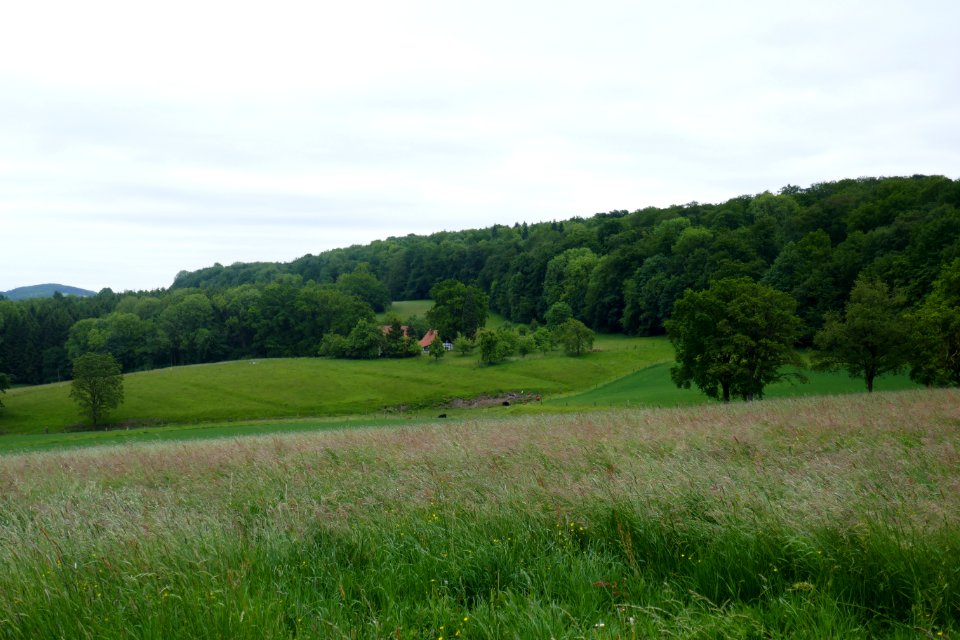 Bielefeld - Ehemaliges Gipsabbaugebiet - 7