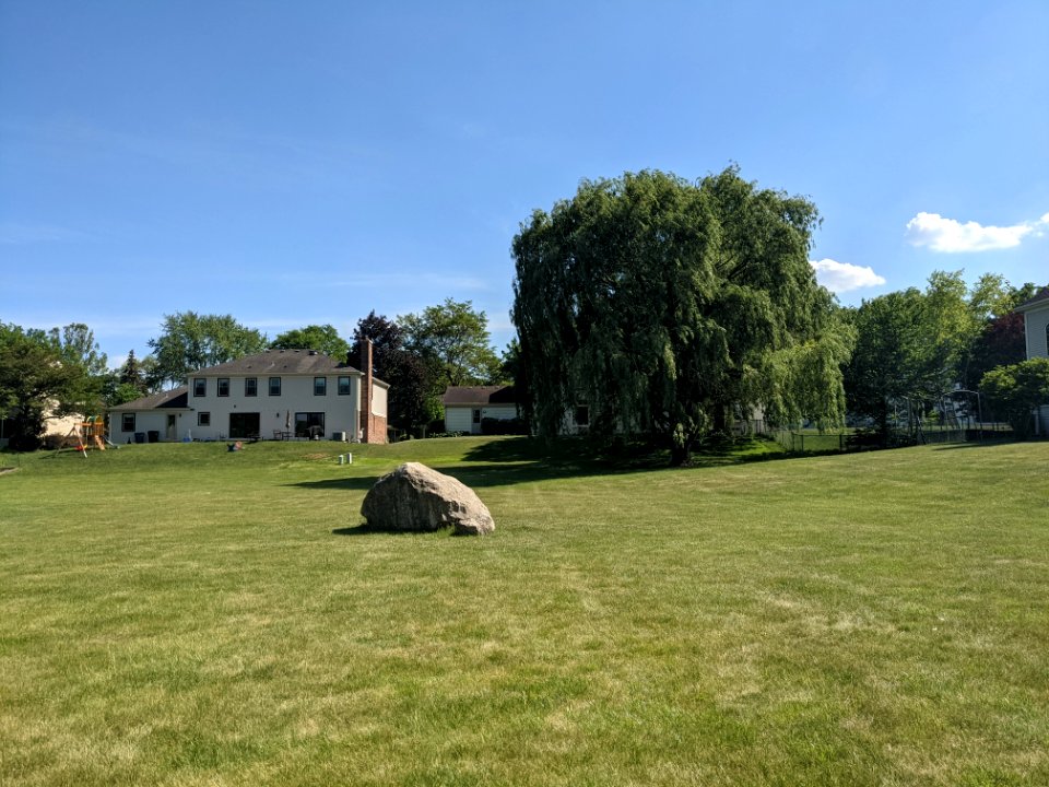 Big rock and Willow in Palatine, Illinois