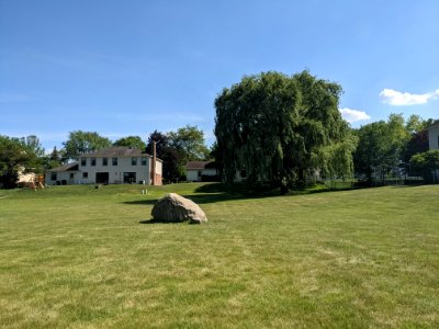Big rock and Willow in Palatine, Illinois