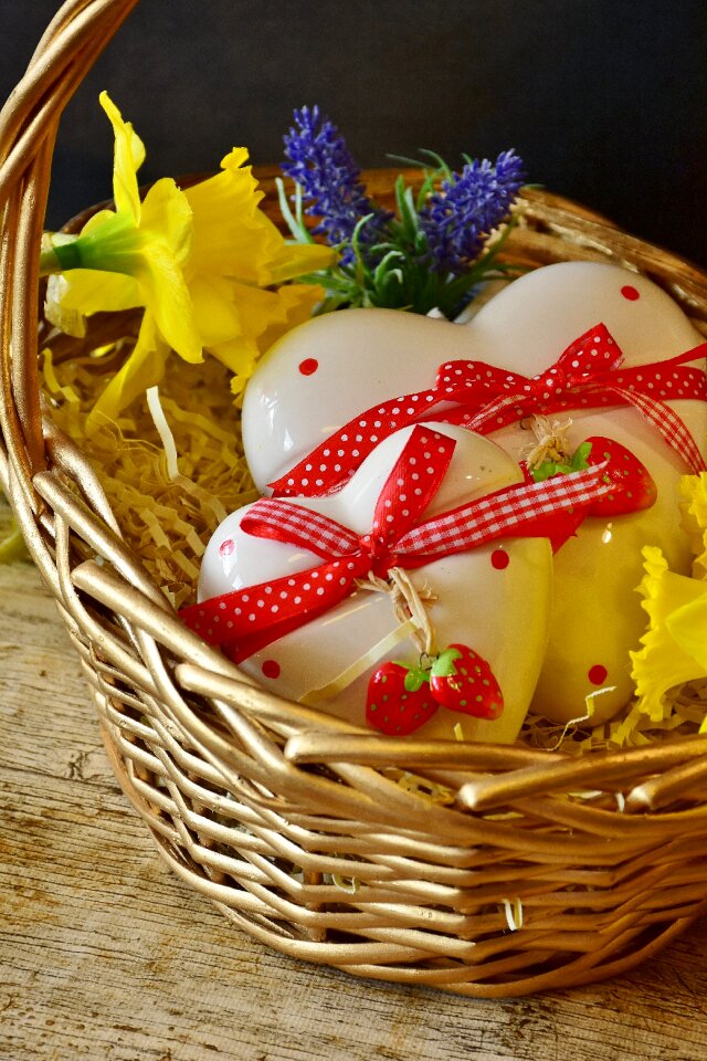 Gift easter osterglocken