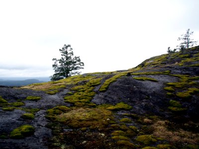 Big Rock (205445139)