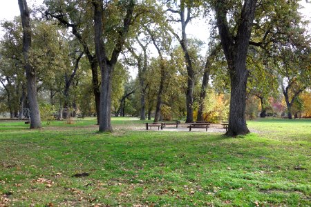Bidwell Park - Chico, CA - DSC03121