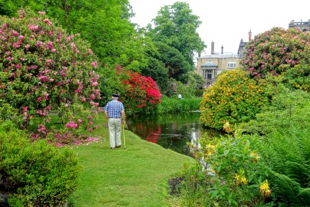 Biddulph Grange Garden - Staffordshire, England - DSC09138