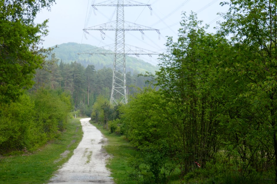 Bielefeld - NSG Markengrund - 03