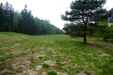 Bielefeld - NSG Markengrund - 06