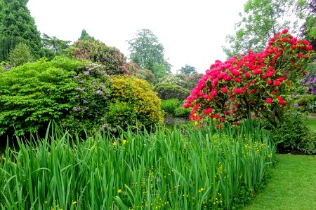 Biddulph Grange Garden - Staffordshire, England - DSC09120